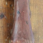 The new ear is on the left