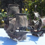 Basking in the sunshine