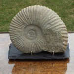 Discrete brass pegs prevent slipping